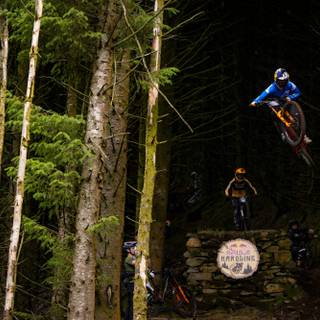 Red Bull Hardline wallpaper