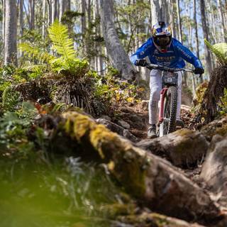 Red Bull Hardline wallpaper