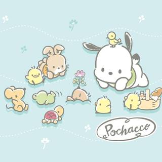 Pochacco PC wallpaper