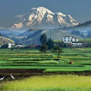 Chimborazo wallpaper