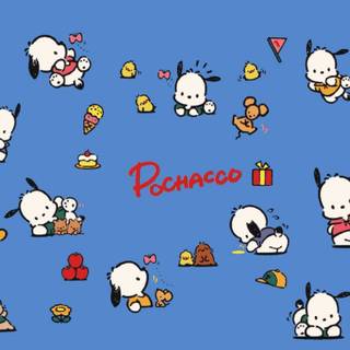 Pochacco PC wallpaper