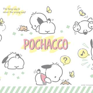 Pochacco PC wallpaper