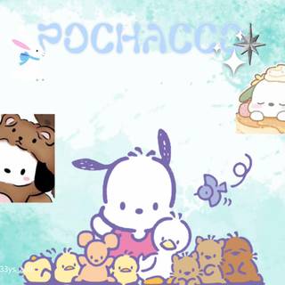 Pochacco PC wallpaper