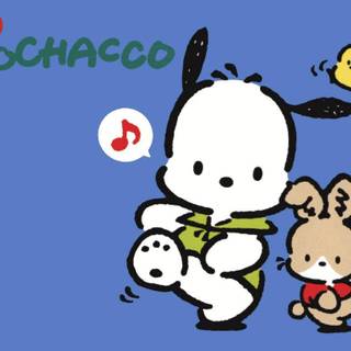 Pochacco PC wallpaper