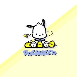 Pochacco PC wallpaper