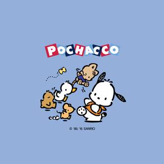 Pochacco PC wallpaper