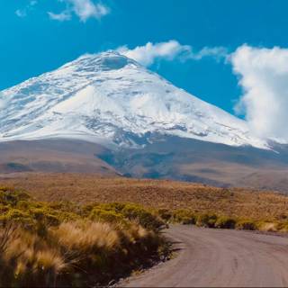 Chimborazo wallpaper
