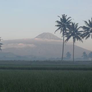 Magelang wallpaper