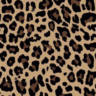 Leopard aesthetic wallpaper