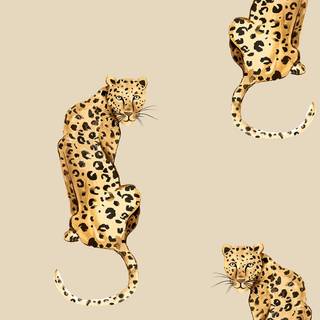 Leopard aesthetic wallpaper