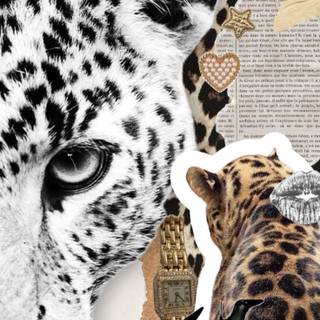 Leopard aesthetic wallpaper
