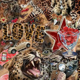 Leopard aesthetic wallpaper