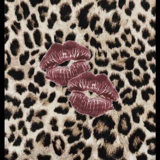 Leopard aesthetic wallpaper