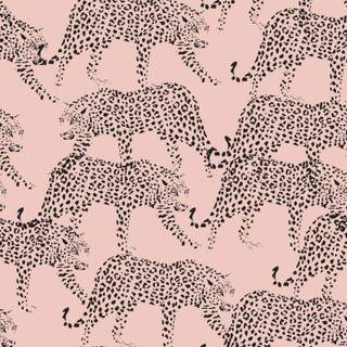 Leopard aesthetic wallpaper