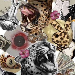 Leopard aesthetic wallpaper