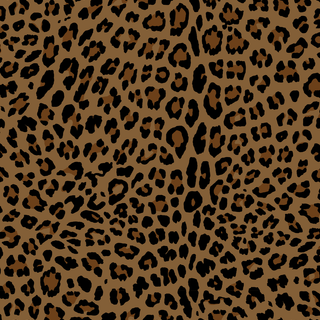 Leopard aesthetic wallpaper