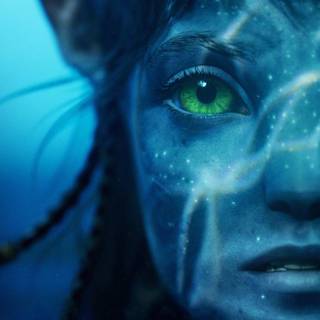 Avatar Neytiri wallpaper