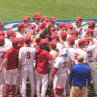 Alabama Crimson Tide baseball wallpaper