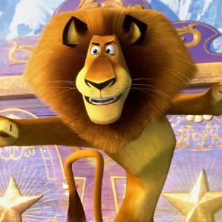 Alex the lion wallpaper