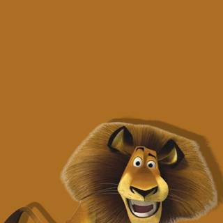 Alex the lion wallpaper
