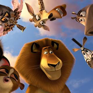 Alex the lion wallpaper