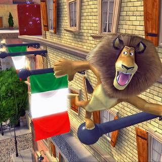 Alex the lion wallpaper