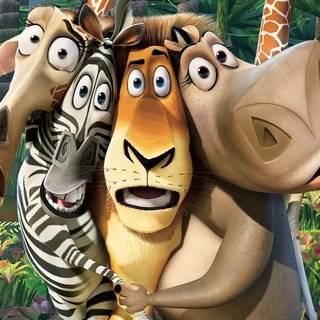 Alex the lion wallpaper