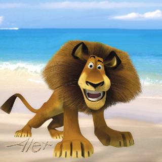 Alex the lion wallpaper