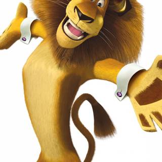 Alex the lion wallpaper