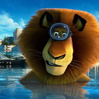 Alex the lion wallpaper