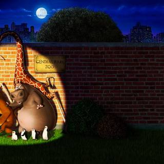 Alex the lion wallpaper