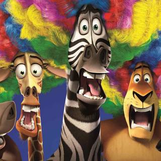 Alex the lion wallpaper