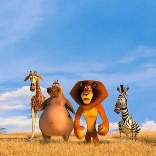 Alex the lion wallpaper