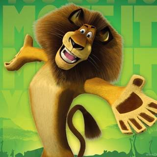 Alex the lion wallpaper