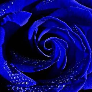 Indigo aesthetic wallpaper