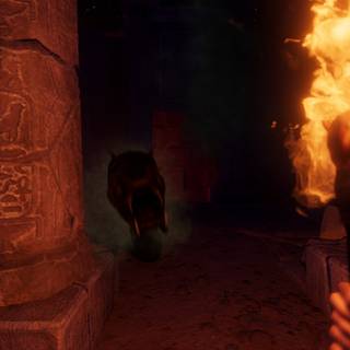 FOREWARNED wallpaper