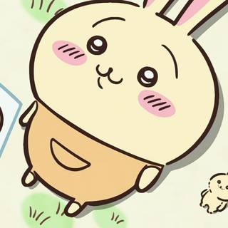 Chiikawa Usagi wallpaper
