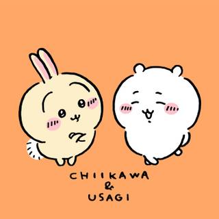 Chiikawa Usagi wallpaper
