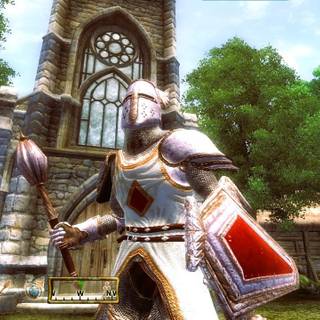 The Elder Scrolls IV: Oblivion Remastered wallpaper