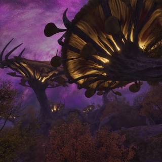 The Elder Scrolls IV: Oblivion Remastered wallpaper