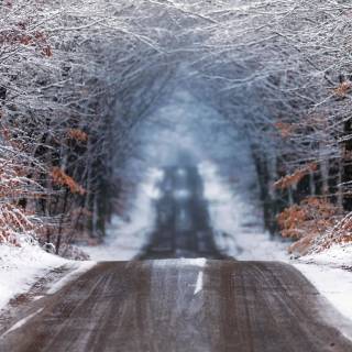 Winter road 4k wallpaper