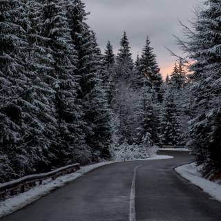 Winter road 4k wallpaper