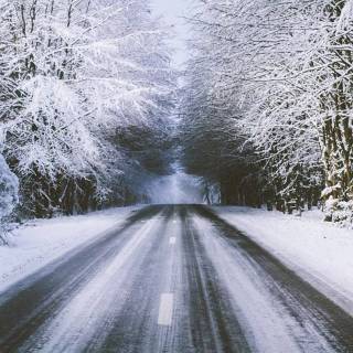 Long winter road wallpaper