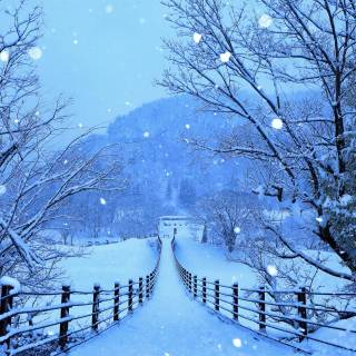 Winter road 4k wallpaper