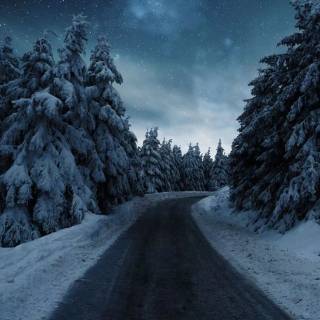 Winter snowy road wallpaper