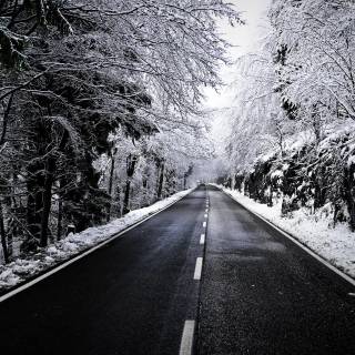 Winter road 4k wallpaper