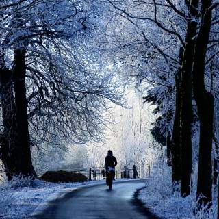 Winter road 4k wallpaper