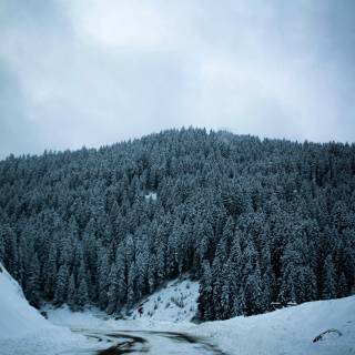 Winter road 4k wallpaper