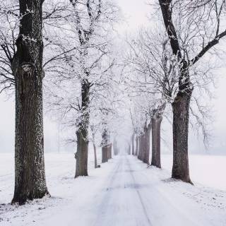 Winter road 4k wallpaper