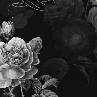 Dark aesthetic 4k phone wallpaper